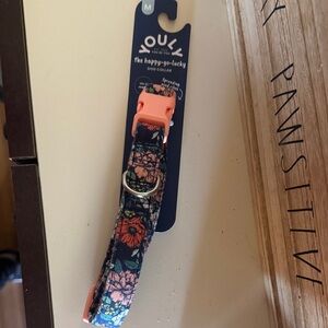 The Happy-Go-Lucky Floral Dog Collar - Black and Orange